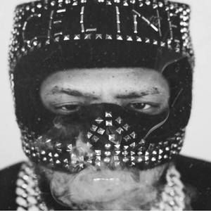 Meet your Posher, Boykin